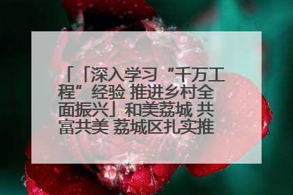 「深入学习“千万工程”经验 推进乡村全面振兴」和美荔城 共富共美 荔城区扎实推进乡村振兴工作